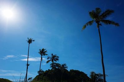 Low angle view of palm trees against blue sky