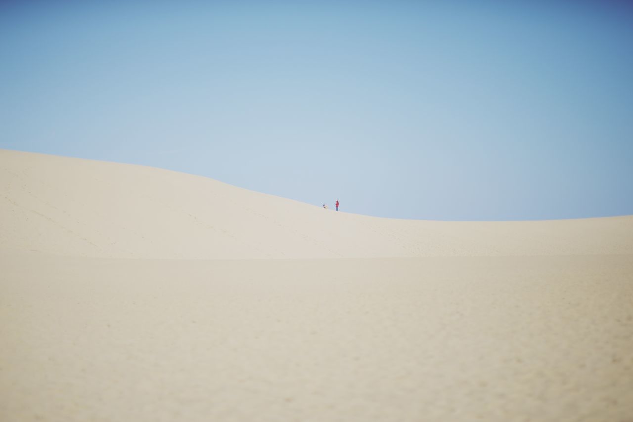 teppei 🇯🇵🍣🦌