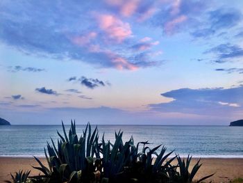 Scenic view of sea against sky during sunset