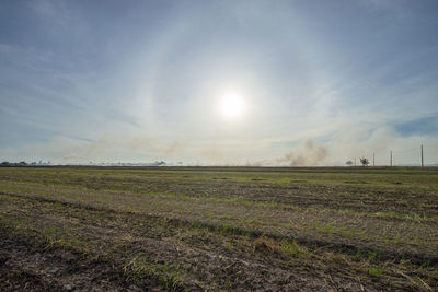 Scenic view of field against sky