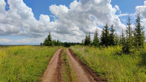 Country road among trees in a field against a blue sky with clouds