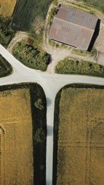 High angle view of agricultural field