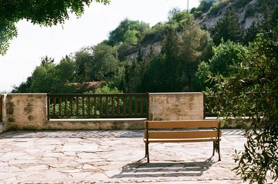 Empty benches against trees