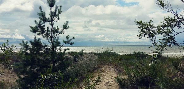 Scenic view of sea against cloudy sky