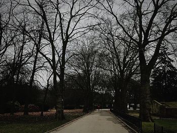 Road amidst bare trees against sky