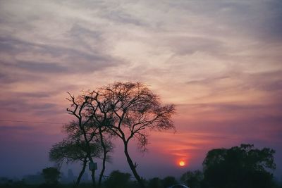 Low angle view of silhouette tree against romantic sky