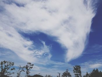 Low angle view of trees against sky