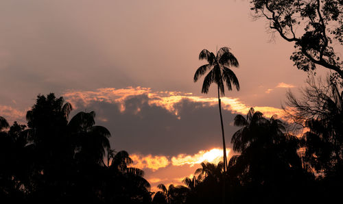 Low angle view of silhouette trees against sky during sunset