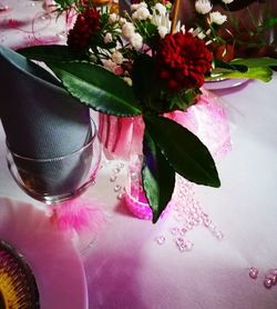 Close-up of pink roses on plant