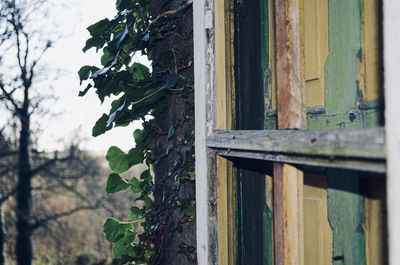 Close-up of window against building