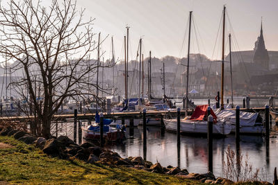 Sailboats moored at harbor against clear sky