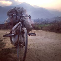 Horse cart on tree by mountain against sky