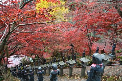 Rear view of people walking in park during autumn