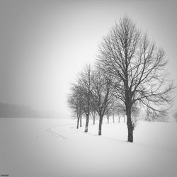 Scenic view of snow covered landscape