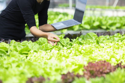 Man working on plant