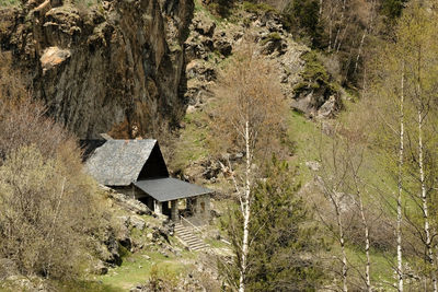House amidst trees on field in forest