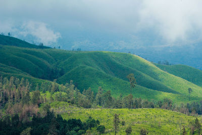 Scenic view of landscape against sky