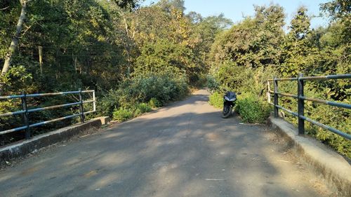 Man walking on road by trees