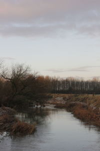 Scenic view of river in forest against sky