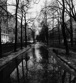 Canal amidst bare trees against sky in city