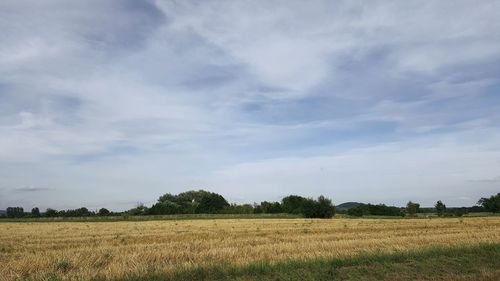 Scenic view of field against cloudy sky