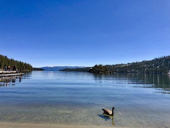 Scenic view of lake against clear blue sky