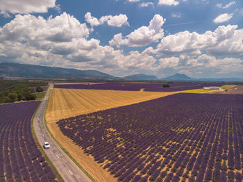 Scenic view of agricultural field against sky