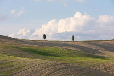 Scenic view of agricultural field against sky