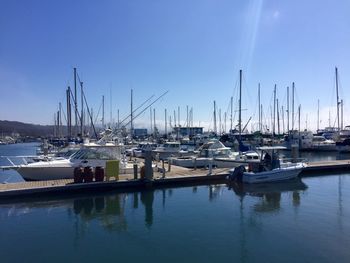 Sailboats in marina