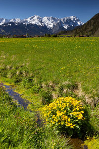 Scenic view of grassy field against cloudy sky