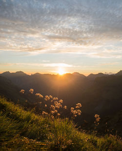 Scenic view of field against sky during sunset