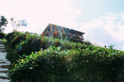 Low angle view of building against sky