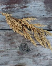 Close-up of rope on wooden table