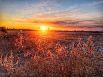 Scenic view of sunset over landscape