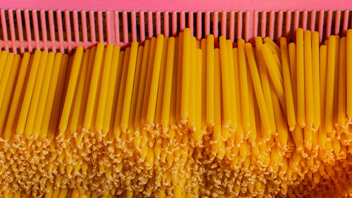 High angle view of fresh yellow vegetables