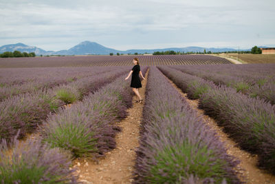 Full length of woman standing in lavender farm against sky