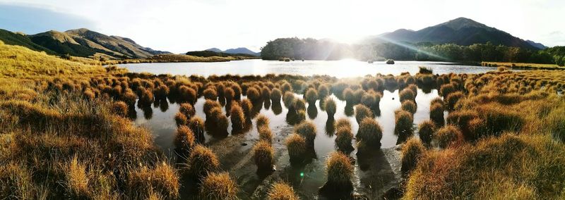 Panoramic view of landscape against sky