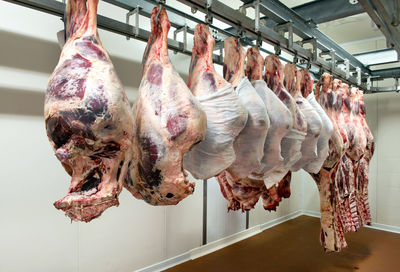 Meat hanging in shop