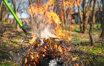 Burning garden waste in spring