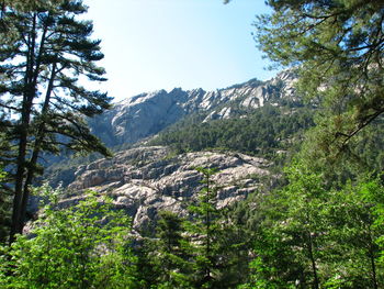 Scenic view of tree mountains against sky