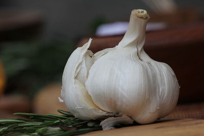 Close up of white flower