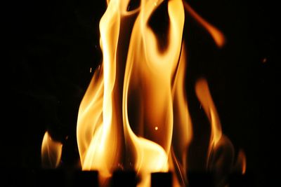 Close-up of bonfire against black background