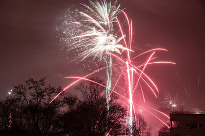 Low angle view of firework display at night