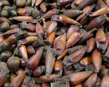 Full frame shot of onions