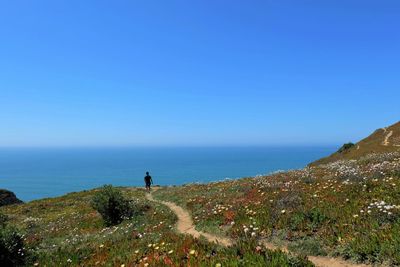 Rear view of man walking on trail against sea and clear blue sky