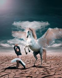 animal wildlife