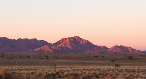 Scenic view of landscape and mountains against clear sky at sunset