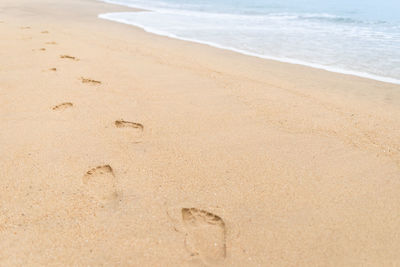 High angle view of footprints on sand at beach