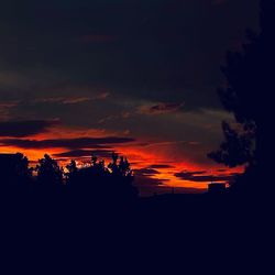 Low angle view of silhouette trees against dramatic sky