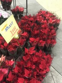 High angle view of red flowers at market